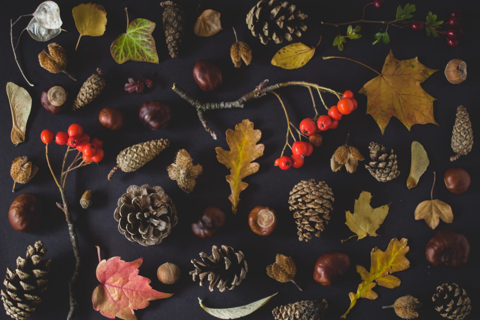 Calendario autunno-inverno 2019: eventi in Osteria