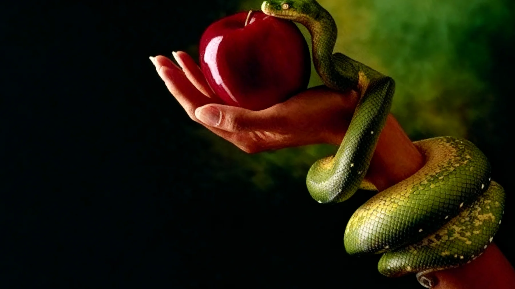 Forbidden Fruit2026-01-16T14:56:21.576Z"